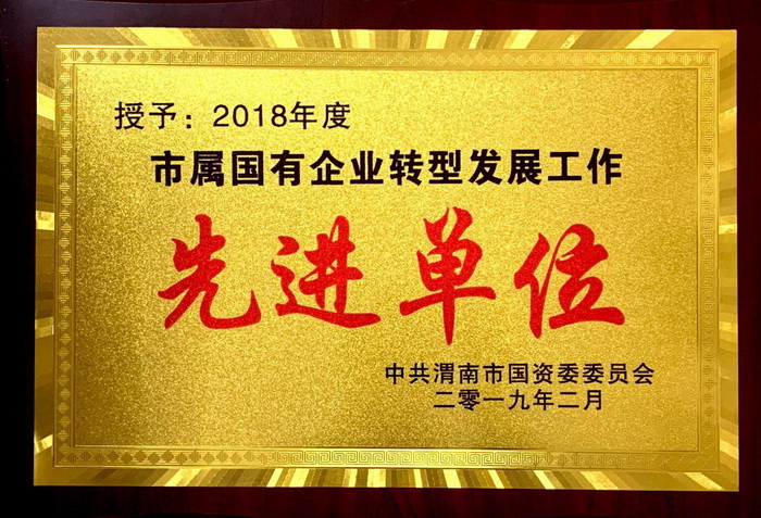 2018年企業(yè)轉(zhuǎn)型先進單位.jpg